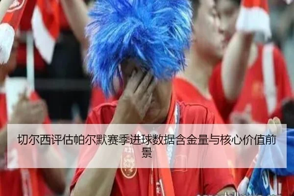 切尔西评估帕尔默赛季进球数据含金量与核心价值前景